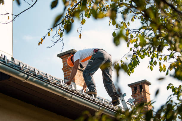 Best Flat Roof Repair Services  in White Hall, IL